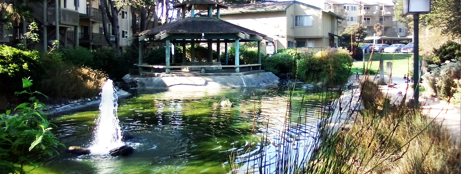 slide_02 fountain